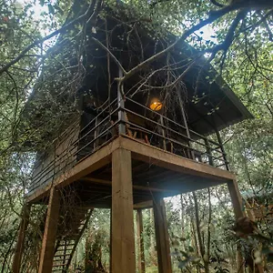  Hotel On The Tree Eco Sigiriya Sri Lanka